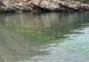 Marmaris Taşlıca Köyü - Arap Adası Minik dalgaların huzur veren sesi...