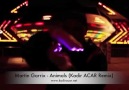 Martin Garrix - Animals (Kadir Acar Remix)