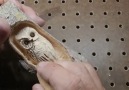 Marvelous Woodworking - Carving a small Owl with Foredom and Dremel Facebook