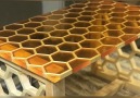 Marvelous Woodworking - Honeycomb Coffee Table Facebook