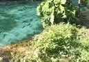 MaşaAllah - Sanat-ı İlhiye
