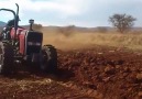 Massey Ferguson 285 Avrupa