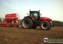 Massey Ferguson - Mısır Ekimi!