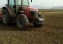 Massey Ferguson 4709 (Oluzlu Tarım)