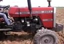 Massey Ferguson 265s (Sürüngen) 11'li tizerle