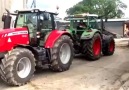 Massey Ferguson ws FENDT