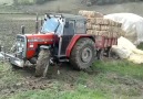 Massey Ferguson 285 4x4 çamur şhow