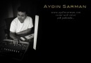 Mavi Sakal - Aydın SARMAN