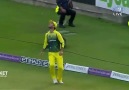Maxwell pulls of ridiculous boundary line catch