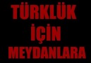 3 MAYIS KLİBİ