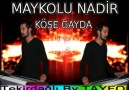 MAYKOLU NADİR KÖSE GAYDA