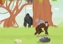 Maymunlar Neden İnsan Olmuyor