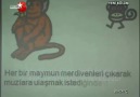 5 Maymun ve Toplumsal / Kurumsal Negatif öğrenme