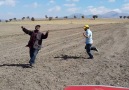 Mazota Zam Gelince Çiftçinin Hali Beyşehir Oyun Havası