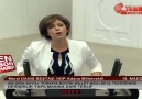 Mecliste HDP li vekile ayar