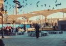 Medine semalarında özgür kuşlar..h sizin kadar nasipli olamadım ben..