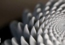 Meet the artist who uses math to make never-ending blooming sculptures.