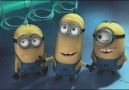 Meet the Minions!