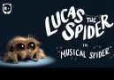 Meet the worlds most musical spiderCredit Lucas the Spider (goo.gl8E1igy)
