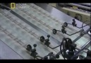 Mega Yapılar/Para Fabrikası Darphane[4/4]