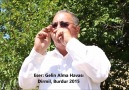 Mehmet Ali Kayabaş - ''Gelin Alma Havası'' (Sipsi)
