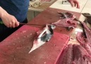 Mehmet CHEF - 12 kglık kuzu balığı parçalama videosu...