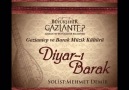 Mehmet Demir- Dönem zülüflerin deste deste(Döne Gelin)