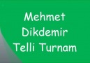 Mehmet Dikdemir Telli Turnam
