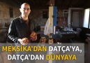 Meksika'dan Datça'ya, Datça'dan dünyaya