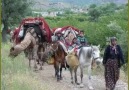 MEKTUP YAZARIM MEKTUP-TUFAN ALTAŞ