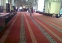 Melez Prens & Balık "Bursa Ulu camii de"