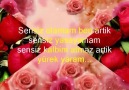 Melih Can - Sensiz Yasayamam-Cantanem ~ ♫