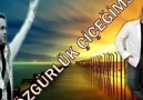 Menajerlik No 0531 831 60 33Söz & Müzik HALİT BİLGİÇ