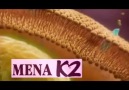 Mena K2 vitaminin kemik üzerindeki etkisi