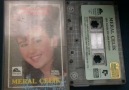 MeraL ÇeLik-GeLsin Artık