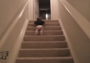 Merdivenden En Hızlı İnme Yöntemi ;)