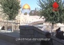 Mescid-i Aksa'yı Çevreleyen Sinagoglar 2