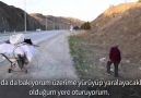 Mesele duble yol yapmak değil mesele ne mi İşte bu... Paylaş