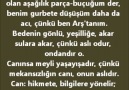 Mesnevi'den Alıntılar - 2