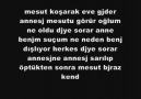 Mesutun sucu ne ?