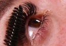 MetDaan Makeup - DIY HYBRID LASHES Facebook