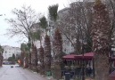 Meteoroloji günlerdir uyarıyordu! Silivri&hafif kar yağışı başladı