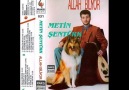 Metin Sentürk - Seviyorum