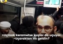 Metrobüs Tarihinin En Seviyeli Tartışması