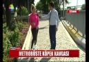 METROBÜSTE KÖPEK KAVGASI