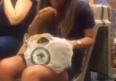 Metroda Poşetin İçinden Elleri İle Spagetti Yiyen Kadın