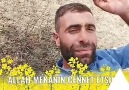 Mevlüt Altuntaş - Emmoğlu allah mekanın cennet etsin gül...