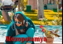 Mezopotamya -