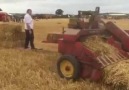 MF35 and baler rebaling some bales from another baler