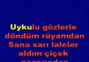 MFÖ - Sarı Laleler Karaoke